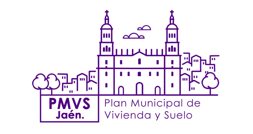 PMVS logo