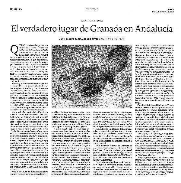 articulo de opinion Ideal