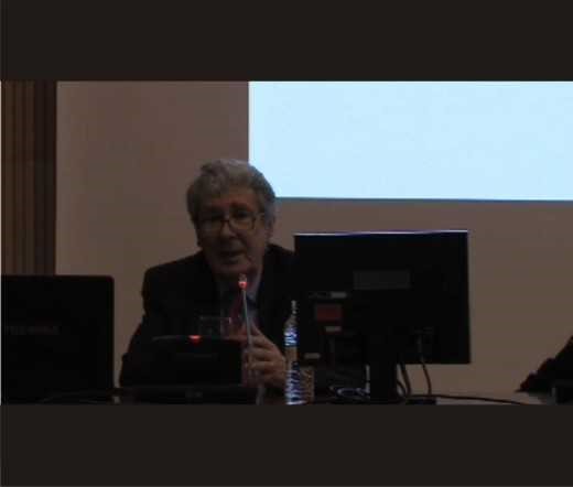 Imagen de la videoconferencia