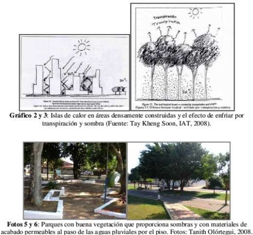 Imagenes del artículo