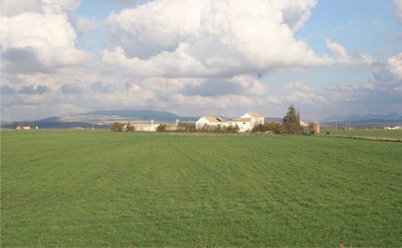 cortijo