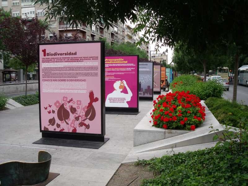 exposicion triunfo