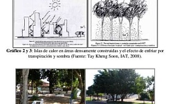 Imagenes del artículo