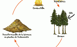 ciclobiomasa
