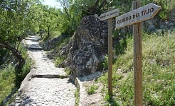 zaharadelasierra