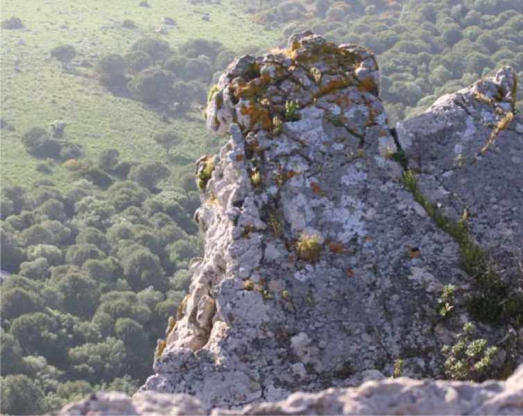 roquedos