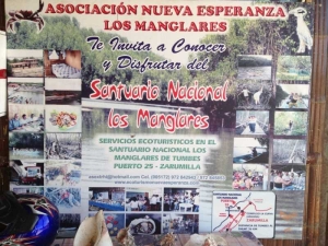 LECCIONES EN LOS MANGLARES DE TUMBES