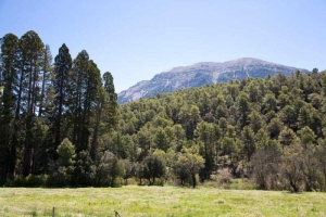Boletin paisaje cultural IAPH: Paisaje de la Sagra