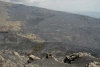 SIERRA NEVADA, UN LABORATORIO DE EXCEPCIÓN PARA EL CAMBIO GLOBAL (V). Los impactos del clima sobre repoblaciones y fauna