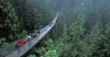 10 CIUDADES QUE PIENSAN EN VERDE