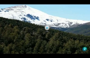 EN MOVIMIENTO: “Restauración forestal. El Marquesado de Zenete”