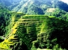 PAISAJE ANCESTRAL: ‘Arrozales en terrazas de las cordilleras filipinas’