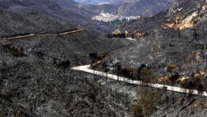 Nueva ley para nuestros montes