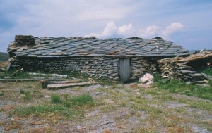 PROTEGIENDO LOS TESOROS QUE EL MUNDO RURAL NOS OFRECE… AÚN (2)